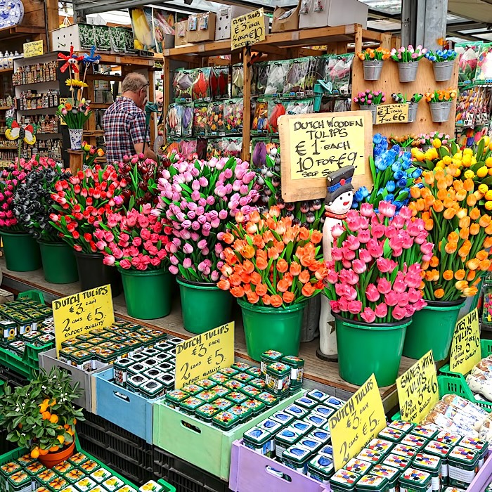 Netherlands-Amsterdam-Bloemenmarkt-floating-flower-market2